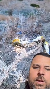 Coisas da Vida on Reels