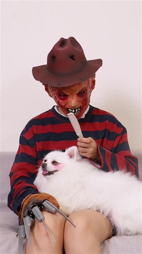 Nico's New Friend! Cute Dog Tiktok Video