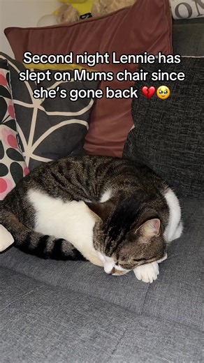 PatsysPeople (@patsyspeople)’s videos with original sound - PatsysPeople