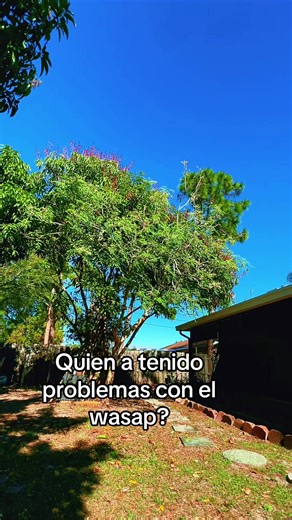 El ángel guardián 2 (@elangelguardian2)’s videos with sonido original - El ángel guardián 2