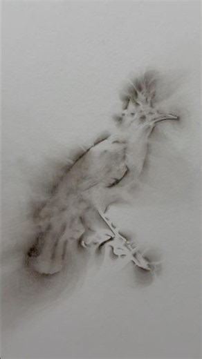 Smoke and Shadows Turning into Art | Seen at Drawing Now Paris