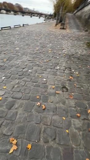 Complete a 5K run while listening to Paris history with the new guided audio tour on Le Walk app, available on the App Store bestiessss 🏃‍♀️ #paris #parisfrance #french #parishistory #pourtoi #explore #parisrunclub #parisrunning #seineriver #paristips #paristravel #parisguide #guidedtour | Le Walk