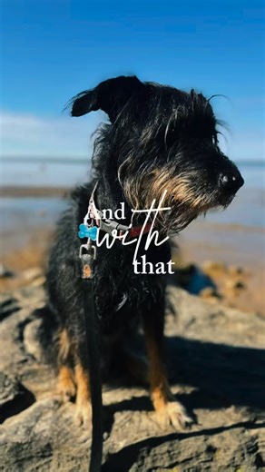 62 reactions · 14 comments | What a year! Thank you for streaming the songs, coming to shows, supporting the album and cheering me on through every twist and turn. Your love keeps this whole thing going.  Here’s to more music, more miles, more art and more memories in the new year! ✨ | Molly Thomas | Facebook