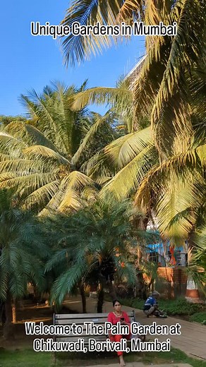 45K views · 11K reactions | Welcome to The Palm Garden at Chikuwadi, Borivali, Mumbai . Inspired by dipan Gardens of Dubai which is world famous and here we have a the greatest collection of Palm trees and the moment you enter you feel a temperature drop of 10 degrees. One of the top 25 unique Gardens created by @my_bmc Unique Gardens in Mumbai | Mission Green Mumbai | Facebook