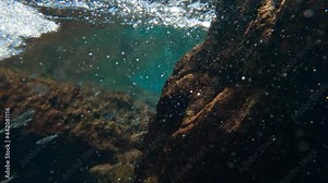 School of Minnow fish being pushed by the current of water. Underwater view of the fish movement between ocean rocks. Slow Motion Resolution: 4K Location: Big Island, Hawaii