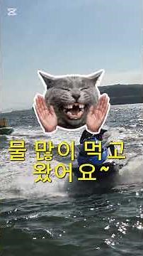 여수리조트/여수맛집/여수날씨 /하모샤브맛집/내돈내산/여수샤브샤브추천/여수여행 /여수토박이맛집