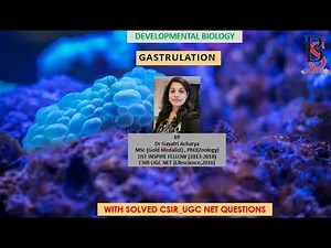 Gastrulation /Developmental biology/ Life Science/ CSIR-UGC NET/ By Dr Gayatri Acharya