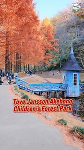 🧡Autumn Metasequoia Trees🍂 @ Tove Jansson Akebono Children's Forest Park ❤️ 📍Hanno, Saitama Ken 📸 November 29, 2025 | Japan Explore