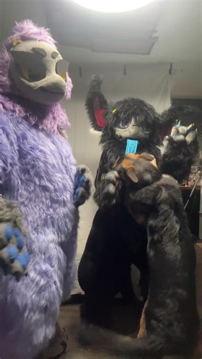 Disco Snails: Mi Canción Favorita de Furry