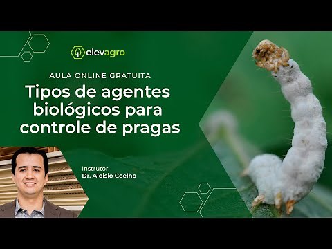 Tipos de agentes biológicos para controle de pragas | Aula gratuita com Dr. Aloisio Coelho