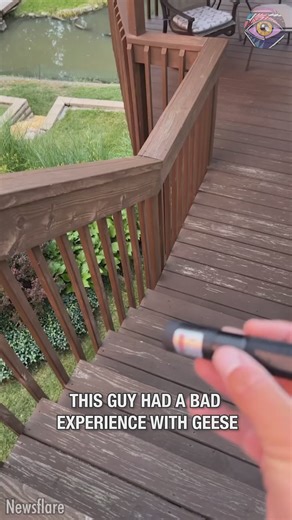 This time, he came prepared | 5-Minute Crafts USA