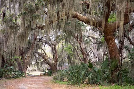 Cannon's Point Preserve