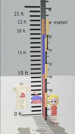 Small Intestine Song #smallintestine #kidssongs #shorts