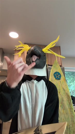 Z Shell necklace is out now 🐚