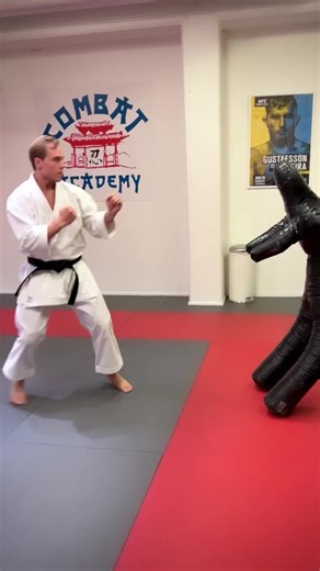 1.5M views · 14K reactions | Karate vs. Ameridote 屢 Who won?  | Jesse Enkamp | Facebook