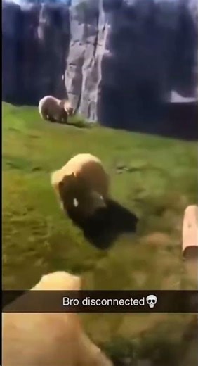 His controller really just disconnected #funny #funnyshorts #funnyvideo