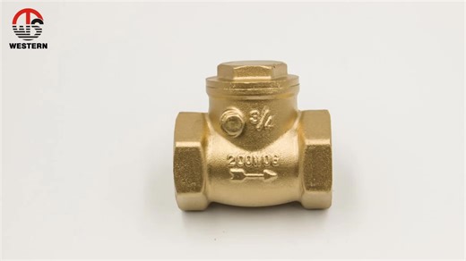 Valve Factory Standard Pn20 1 3 4 Inch Sanitary Non Return Brass Vertical Spring Check Valve for Water Pump