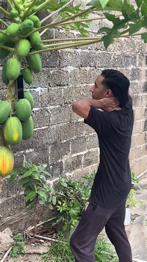 ##parati #humor #comedia | comedy