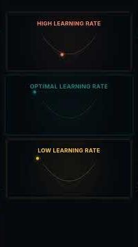 How Transformers Learn: Loss & Gradients