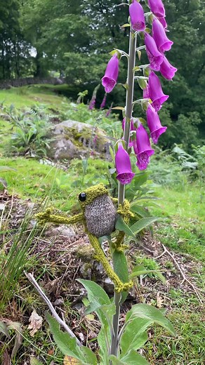 Knitting a Cute Frog Pattern with Dot Pebbles | Craft Tutorial