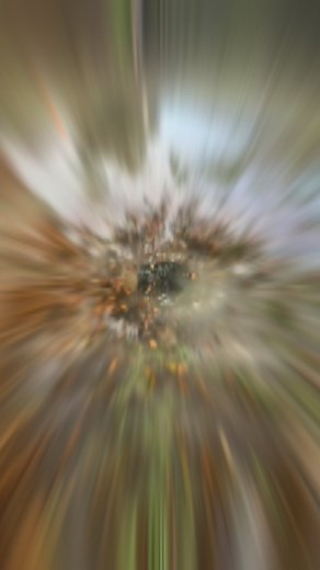 Another successful Drainage Project done ✅ Tired of seeing your yard flooded after every rain? Don’t wait too much or you’re going to start having problems with the foundation of your house. For Drainage issue we have drainage solutions. Call us now and get your FREE estimate today! | Daniel’s Lawn Maintenance LLC