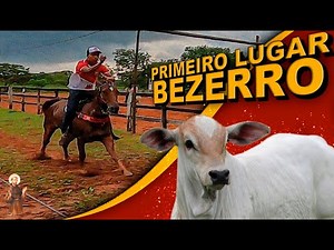 Corrida de Argolinha Valendo uma Bezerra