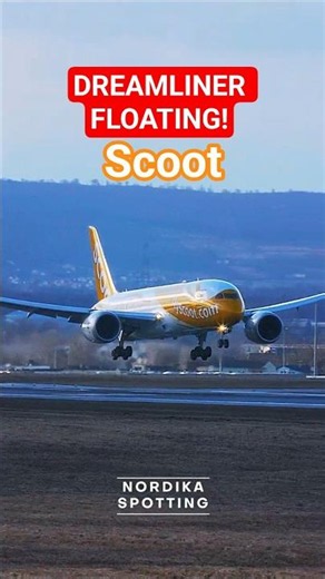 Massive Boeing 787 Dreamliner Floating Before Touchdown | Vienna Airport