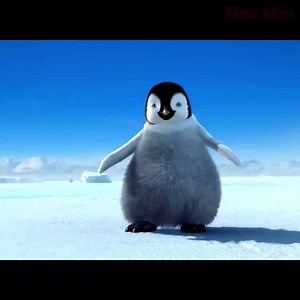 It’s been 11 years since Happy Feet hit no.1 at the box office. Such a classic animated film! | New Idea Magazine