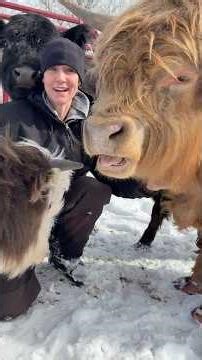 Jiggly Dewlaps All Around!