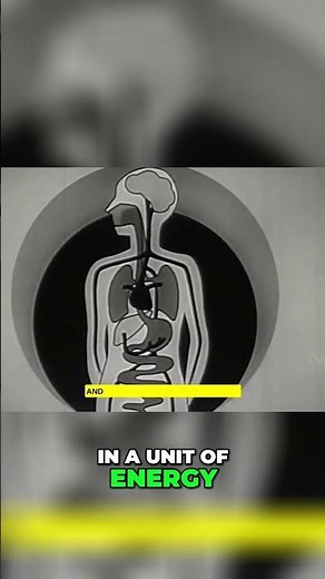 Magnetic Field of the Body: Unveiling Life's Energy #shorts