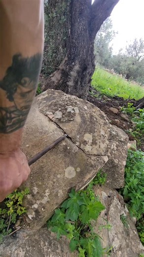 #adventure #archaeology #treasure | Adventure