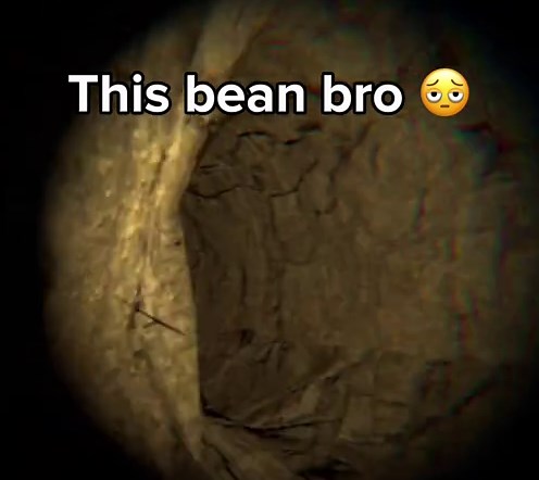 Bro this bean 🫩 #ogfmhmeetup #scream | scream