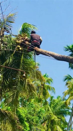 Thamange jivithe ganawath hithanne nethuwa carrnt eka ikmanata denna gas ain karana api 🥹