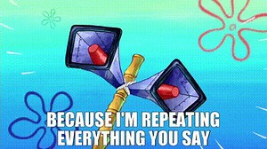 because I'm repeating everything you say