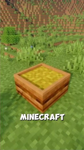 Feeding Trough in minecraft #minecraft #shorts
