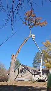 Contact Godfrey's Tree Service for all your tree-related needs. They have available appointments, and it's an ideal time to remove those hazardous tree limbs from your property. Kevin and his team will handle everything, including tree cutting, trimming, clearing, and stump grinding. Don't hesitate to reach out to them for top-notch, professional service! #supportlocalbusiness Godfreys tree service | All On Georgia - Chattooga