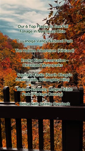 🍁 Our 6 Top Places to See Fall Foliage in Northeast Ohio * Cuyahoga Valley National Park * The Holden Arboretum (Kirtland) * Rocky River Reservation – Cleveland Metroparks * Squire’s Castle (North Chagrin Reservation, Willoughby Hills) * Nelson-Kennedy Ledges State Park (Portage County) * Berea Falls Scenic Overlook What’s on your list? #northeastohio #ohio | Kristin in Cleveland