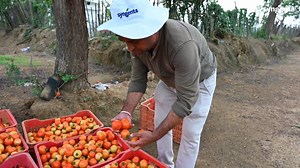 8.3K views · 79 reactions | Why is seed selection critical to...