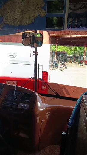 AC Bus Sights on TikTok