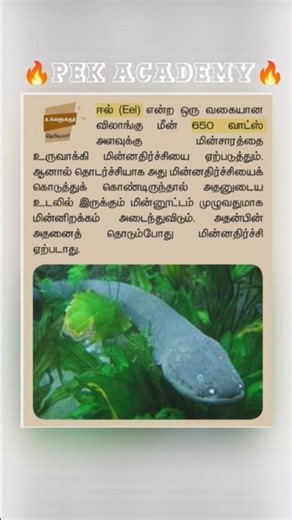 8th science shorts #tnpsc #tnusrb #upsc #rrb #ntpc #science #gk #shorts #exam #physics #trending #yt