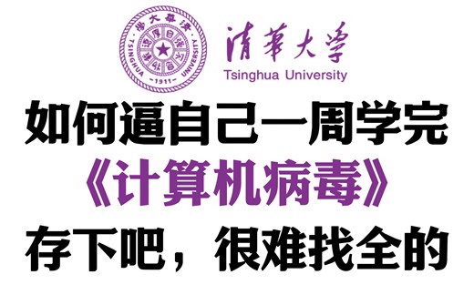【计算机病毒入门教程】清华大学出品的计算机病毒入门教程！从0基础开始学习计算机病毒