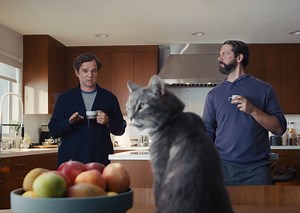 Progressive Insurance: What Really Happened Replay - Cat • Ads of the World™ | Part of The Clio Network