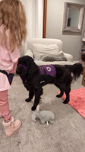 68K views · 3.5K reactions | We're going to see what all we can show you from everything we've learned so far in our FIVE DAYS with Gemelli's people training! Here we go! | Team AMC Ana | Facebook