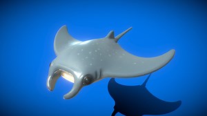 Cartoon Manta Ray (animated) - Download Free 3D model by Jungle Jim (@jungle_jim)