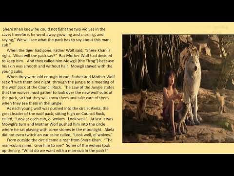 The Story of Akela and Mowgli (Based on Cub Scouting)