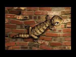 Mediterranean geko sound