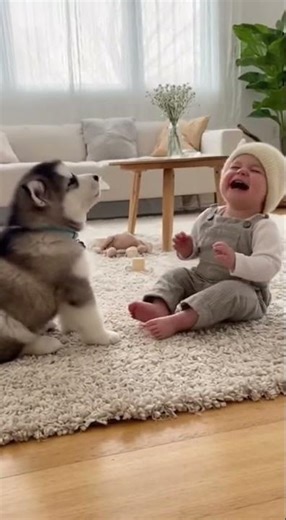 Baby Teaches Puppy How to Howl! Listen and Learn, Little One 😅