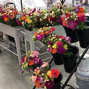 2.5K views · 175 reactions | Another week of beautiful flower...