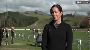 7.3K views · 90 reactions | LIFE AFTER RACING | Thoroughbreds in...