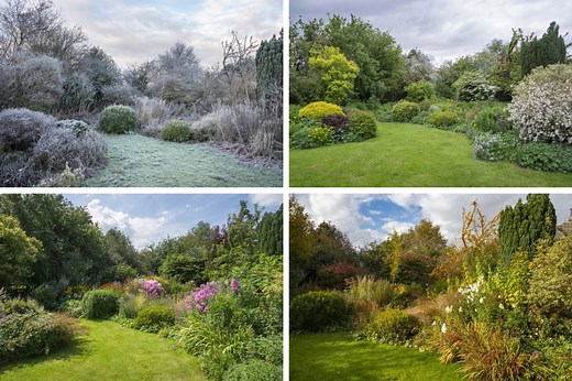 DIY Lawn Care Schedule: Manage Your Lawn by the Season